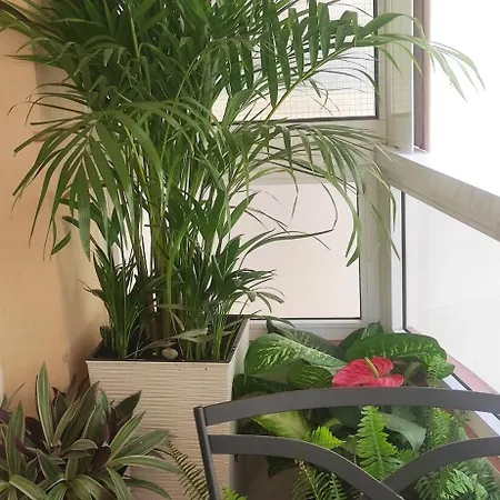 Duplex Centro 3 Apartment *